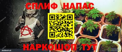гидра Краснокаменск