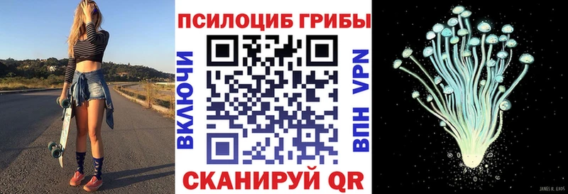 это наркотические препараты  Кудрово  Галлюциногенные грибы мицелий 