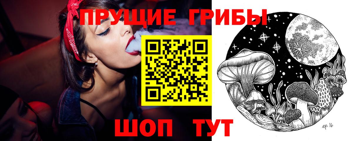 Кудрово  Галлюциногенные грибы Cubensis  где купить наркоту  Псилоцибиновые грибы мухоморы  Вход с VPN 